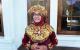 Embedded thumbnail for Badan Kesbangpol Prov. Babel ikuti Parade Nusatara